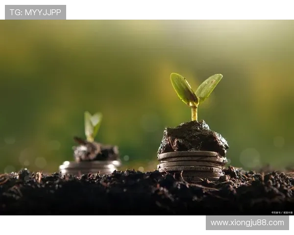 景菡一的成长之路与梦想追逐：从平凡到卓越的心灵旅程