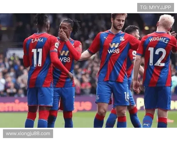 水晶宫迎战加的夫城争夺英冠联赛关键三分的激烈对决