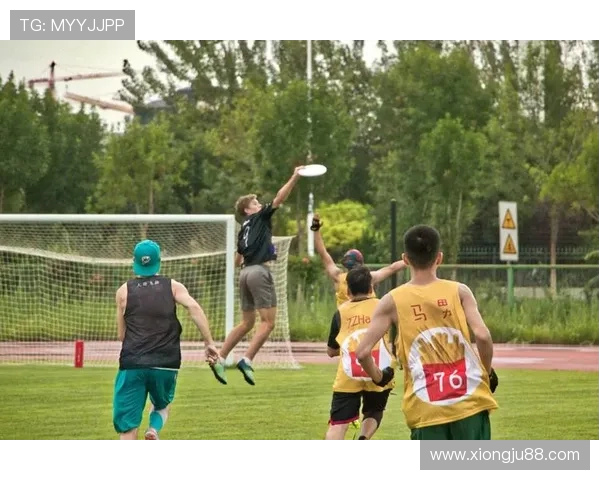 飞盘耐力赛事最新排名揭晓杭州飞盘队荣获第四名佳绩