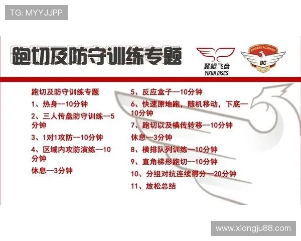 南京飞盘队区域防守体系的战术解析与实战应用探讨