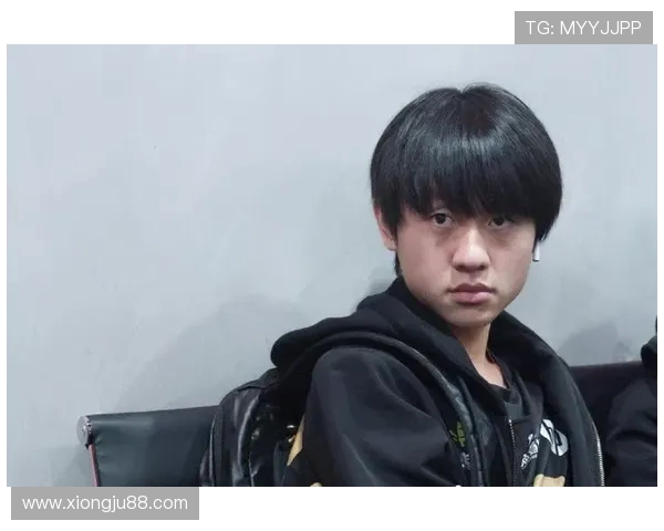 深入分析JDG战队在DOTA2中的意识表现与战术思维探讨