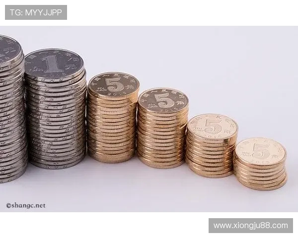 杭州排球队在联合会杯中的实力展现与未来发展潜力分析